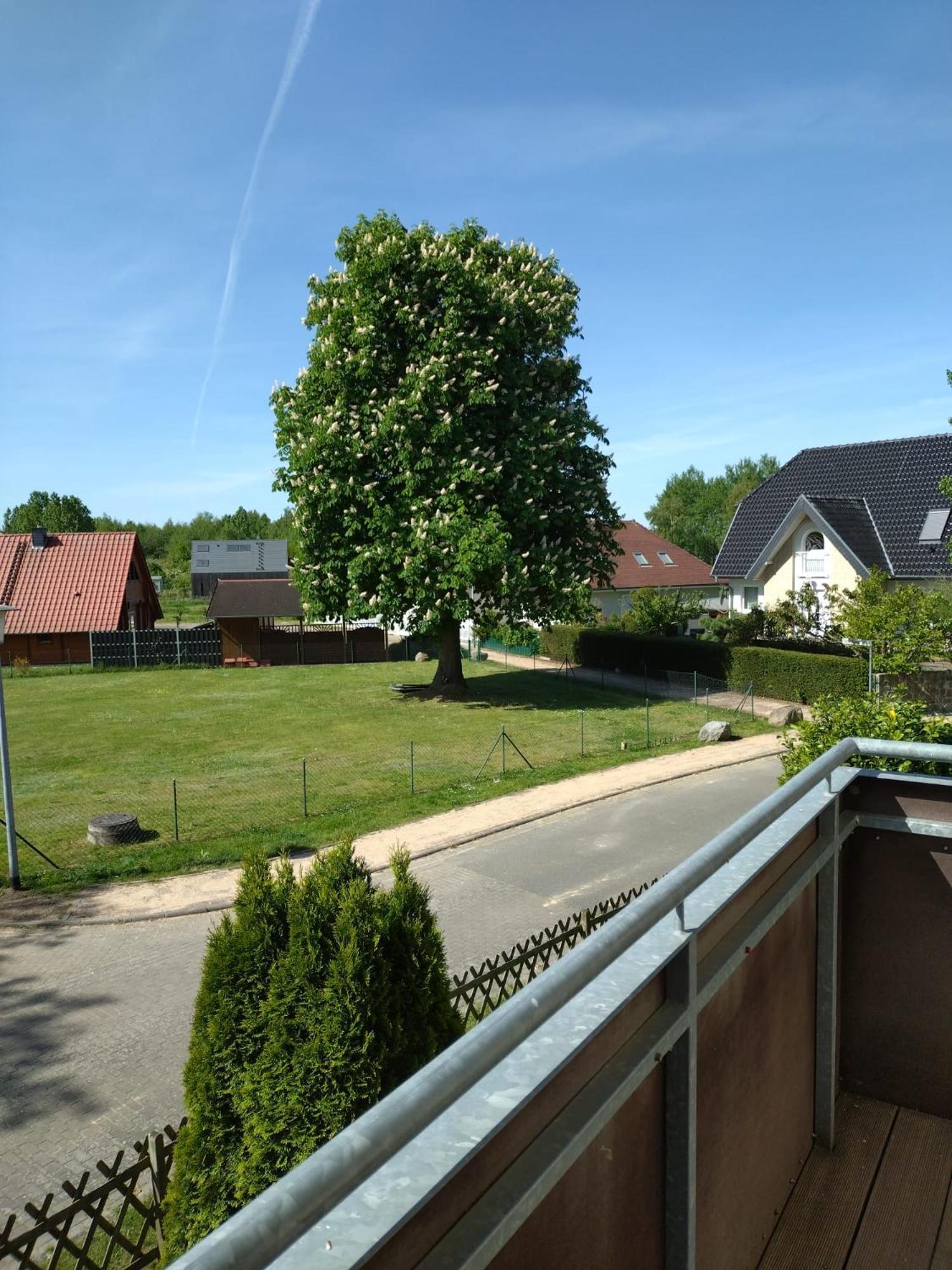 Ferienhaus Rechlin See Экстерьер фото